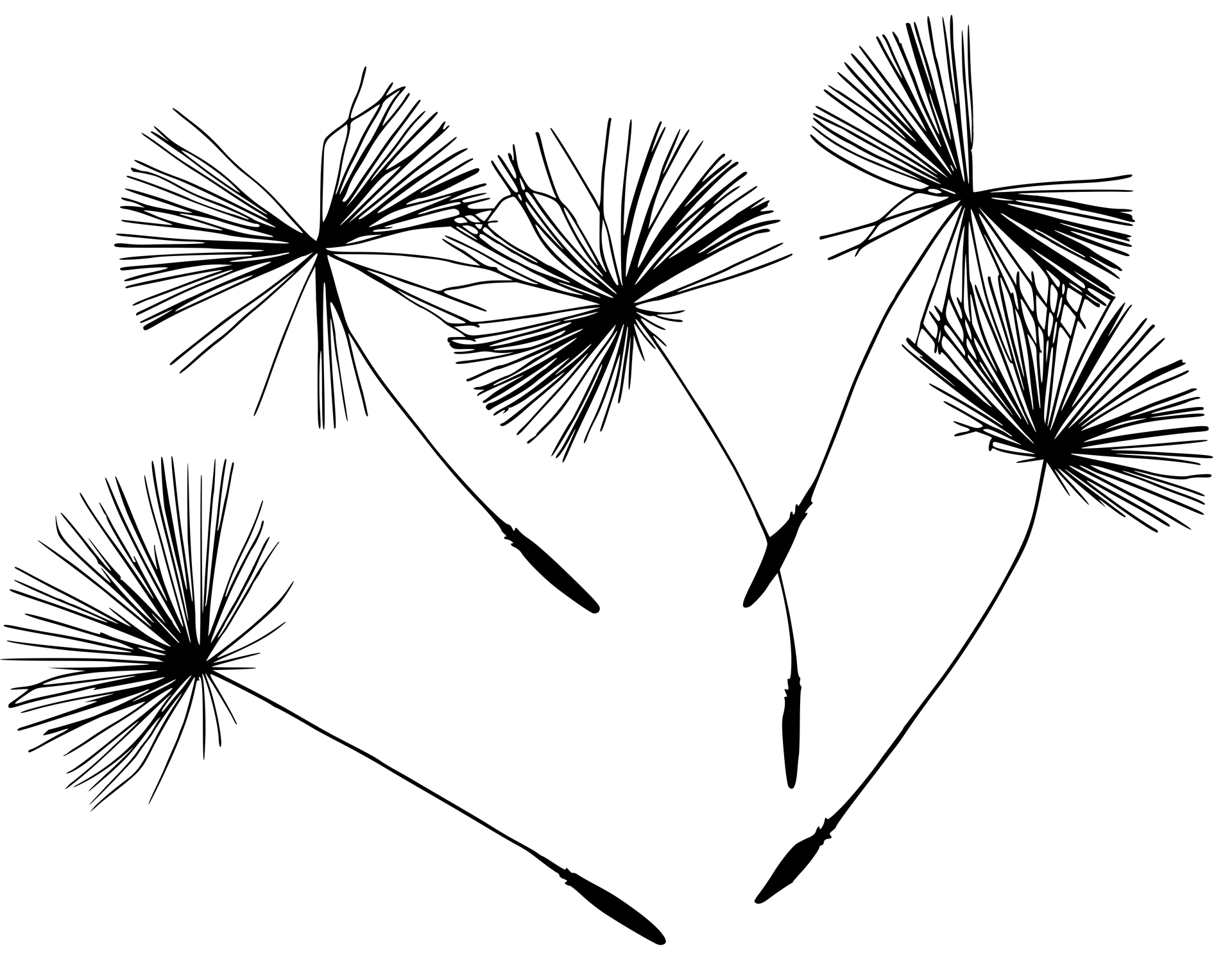 Hypnose 5